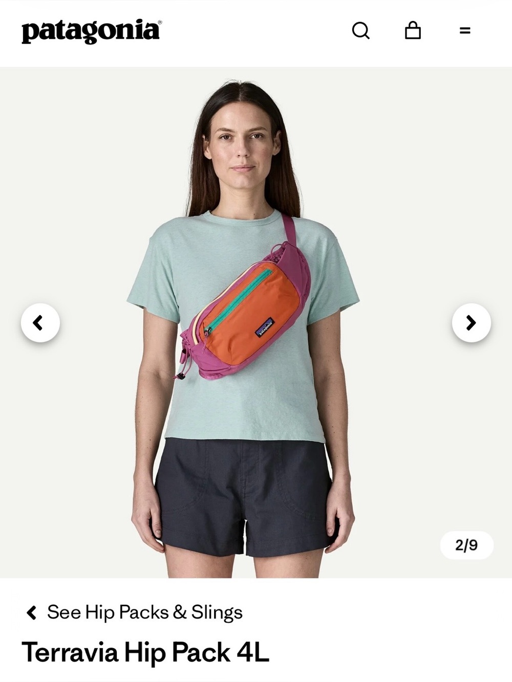 Patagonia Hip Pack 4L